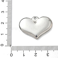 Anhänger aus Edelstahl 304&nbsp;STAS-G361-06P