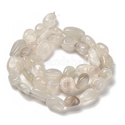 Opalo blancos naturales hebras&nbsp;G-P497-01E-69C