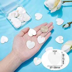 Pendentifs de coquillages d'eau douce naturelle&nbsp;SHEL-BC0001-004