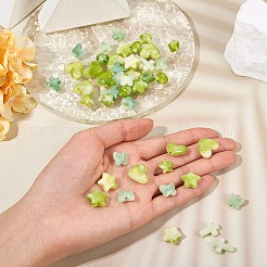 50pcs 5 Arten Acrylperlen&nbsp;OACR-TA0003-65