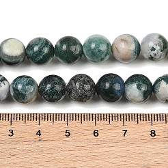 Chapelets de perles en agate d'arbre naturelle&nbsp;G-I199-03-10mm