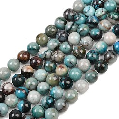 Natur Chrysokoll Perlen Stränge&nbsp;G-K405-B01-8mm