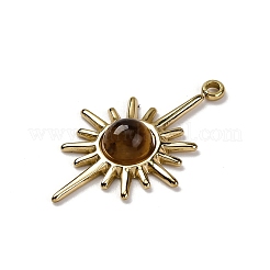 Pendentifs en œil de tigre naturel&nbsp;X-STAS-R005-02G