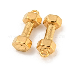 Ionenplattierung (IP) 304 Edelstahlanhänger&nbsp;STAS-N103-79G