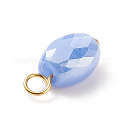 Pendentifs en verre plaquent&nbsp;PALLOY-JF01541-04