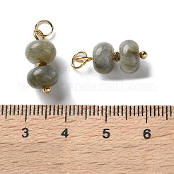 Anhänger aus natürlichen Labradorit-Unterlegscheibe-Perlen&nbsp;STAS-C120-03G-01