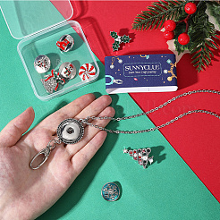 DIY-Sets zur Herstellung von Halsketten&nbsp;DIY-SC0031-59