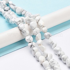 Fili di perline howlite naturale&nbsp;G-K337-06