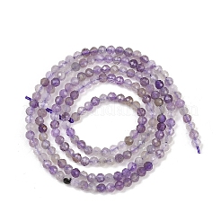 Natürlichen Amethyst Perlen Stränge&nbsp;G-L628-B09-2mm