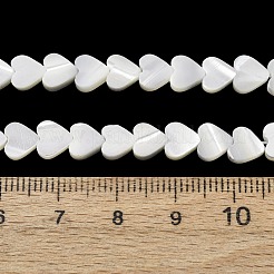 Natürliche Trochidschale / Trochusschalenperlenstränge&nbsp;SH-CBA2978-19A