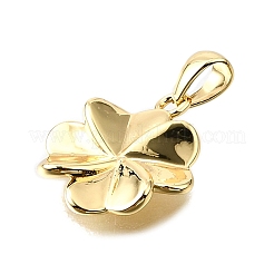 Messing Anhänger & Charms&nbsp;KK-V011-52G