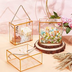 Transparente Geschenkboxen für Haustierbonbons&nbsp;CON-WH0084-73A