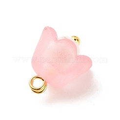 Charms acrilico trasparente&nbsp;PALLOY-JF01603-01