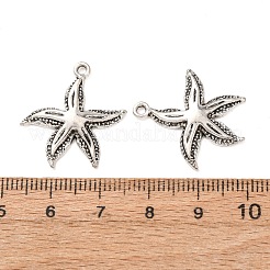 Tibetischer stil Aluminium Anhänger & Charms&nbsp;FIND-C094-18AS
