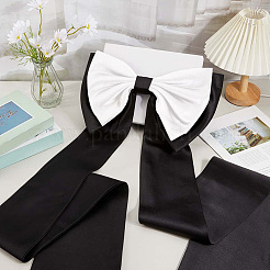 Nœud papillon amovible en polyester&nbsp;AJEW-WH20020-205G