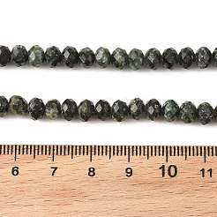 Naturperlen Stränge SERAPHINITE&nbsp;G-K376-E06-4x6mm