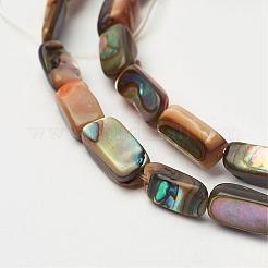 Natur Paua Muschel Perlen Stränge&nbsp;G-D171-03