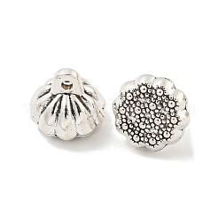 Tibetischen Stil Legierungs Anhänger & Charms&nbsp;FIND-M011-06AS