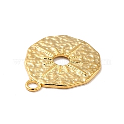Pendentifs en acier inoxydable 304 avec placage ionique (IP)&nbsp;LS-STAS-I197-006G