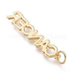 Messing Anhänger & Charms&nbsp;ZIRC-I048-15G-07