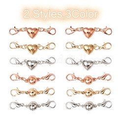 12 Sets 2-Stil-Legierungs-Magnetverschlüsse-Konverter&nbsp;FIND-YW0001-39