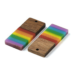 Colgantes de resina y madera de nogal con tema de arcoíris del orgullo&nbsp;WOOD-K012-06B