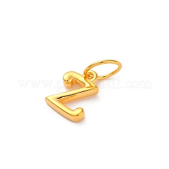 925 ciondolo a forma di lettera in argento sterling con anelli di congiunzione&nbsp;LS-STER-R008-01G-Z