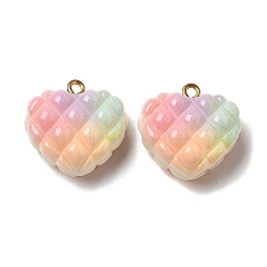 Anhänger aus undurchsichtigen Waffelperlen in Regenbogenfarben&nbsp;RESI-F035-01