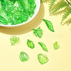 120pcs 8 Arten transparente Acrylanhänger&nbsp;OACR-FS0001-71