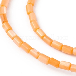 Brins de perles d'eau douce naturelles teints en coquille&nbsp;SHEL-M018-12-07