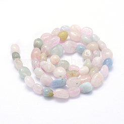 Naturperlen Stränge morganite&nbsp;X-G-K230-16