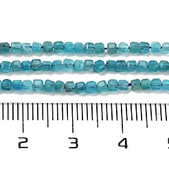 Fili di perline di apatite blu naturale&nbsp;G-H042-B12-01B