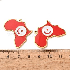 Anhänger aus Edelstahl 304 und Emaille&nbsp;SA-CBA6ECE-01G-G05