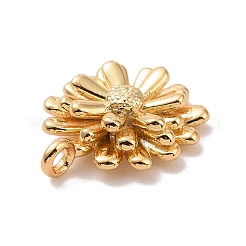 Cremagliera charms ottone placcatura&nbsp;LS-KK-C245-04G