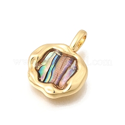 Natur Paua Muschel Anhänger&nbsp;KK-D255-11G