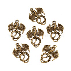 Tibetische Stil Anhänger & Charms&nbsp;X-TIBEP-K063kg-AB-NR