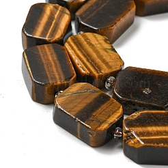 Natürlichen Tigerauge Perlen Stränge&nbsp;G-G072-B03-02