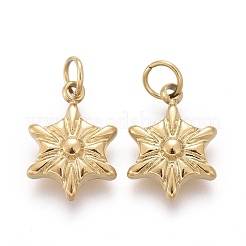 Weihnachts-Ionenplattierung (IP) 304 Edelstahl-Charms&nbsp;STAS-I164-025G
