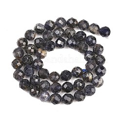 Naturperlen Stränge iolite&nbsp;G-RM250101-E7