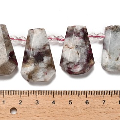 Natürliche pflaumenblüte turmalin perlen stränge&nbsp;G-H078-A01-02