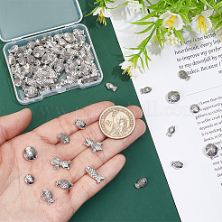 90 pièces 9 styles de perles en alliage de style tibétain&nbsp;FIND-HY0004-57
