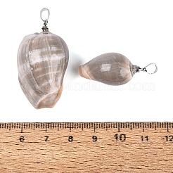 Anhänger aus Messing und natürlicher Olivenmuschel&nbsp;SHEL-Q029-22P