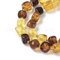 Perline ambra naturale fili&nbsp;G-L095-E01-01