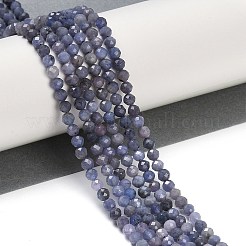 Perles tanzanite naturel brins&nbsp;G-F717-17B-01