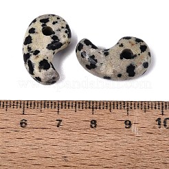 Dalmata naturale ciondoli diaspro&nbsp;G-S294-07B-13