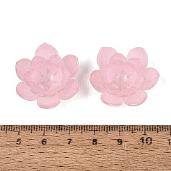 Tappi per perline acrilici termoretraibili&nbsp;OACR-N164-19