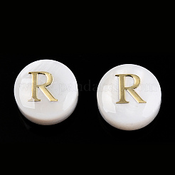 Perles de coquillages naturels d'eau douce&nbsp;SHEL-N036-01R