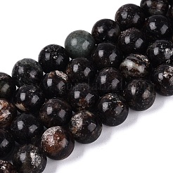 Perles naturelles biotite brins&nbsp;G-Q616-01E