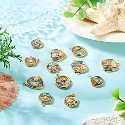 12 stücke 6 arten 304 edelstahl pflastern natürliche paua shell anhänger&nbsp;STAS-TA0005-90