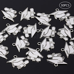 Pendenti in lega di zinco di stile tibetano&nbsp;PALLOY-P178-21AS